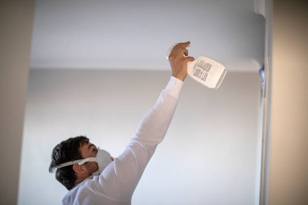 Best Mold Cleaning Services  in Vienna, VA
