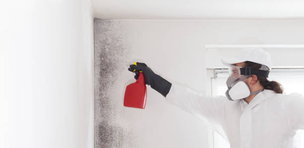 Best Crawl Space Mold Removal  in Vienna, VA