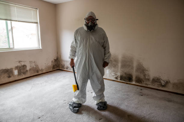 Best Certified Mold Removal  in Vienna, VA